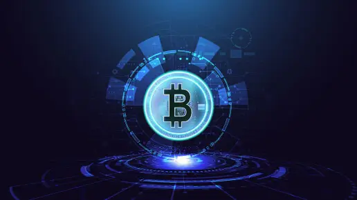 Bitcoin Flash Software